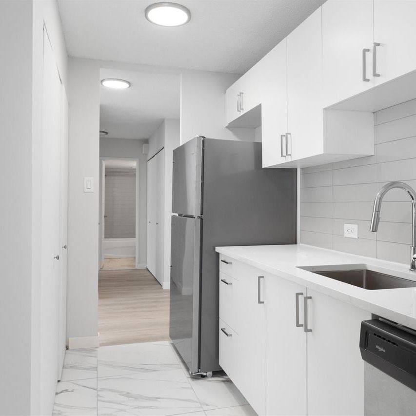 Sunny And Renovated 3 1/2 - Saint Laurent - 335 Boulevard Deguire, Saint-Laurent - Photo 1