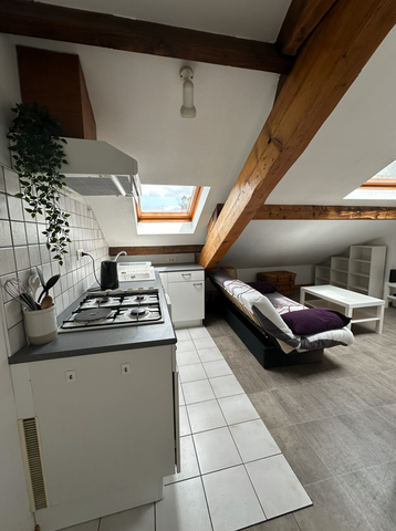 Location Appartement 2 pièces 21m² BELFORT 90000 - Photo 4