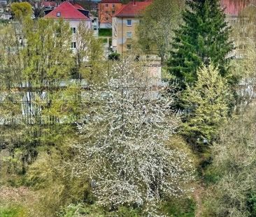 Gemütliches Ambiente gesucht - dann sind Sie richtig - Photo 6