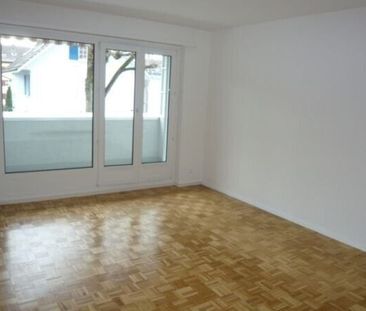 Living next to the Schüssinsel – Vivre près de l’île de la Suze - Photo 1