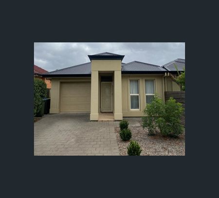 28 Leeds Avenue, Northfield, SA 5085 - Photo 4