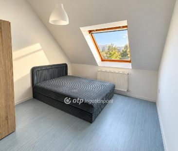 Péterfia, Hajdú-Bihar, 4026, Debrecen - Fotó 6