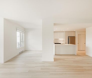 Monarc Collection - Photo 4