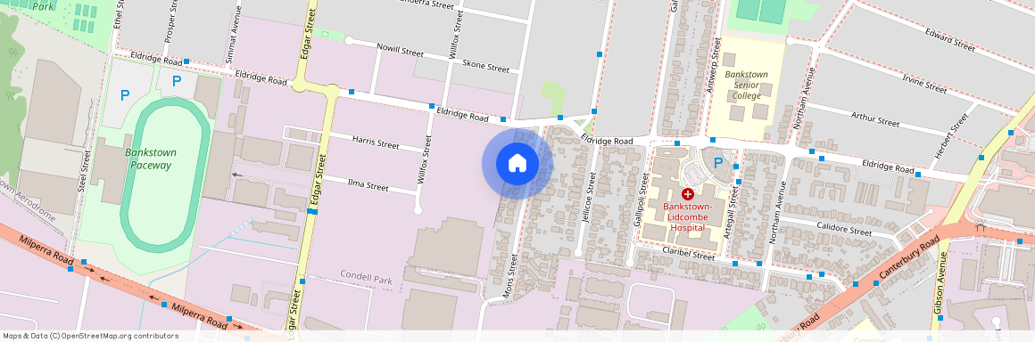 7 Mons Street, Condell Park NSW 2200