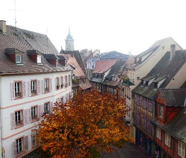 COLMAR - APPARTEMENT 6 Pièces - Photo 3