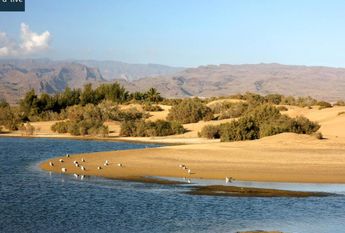 San Bartolome de Tirajana, Canary Islands 35100