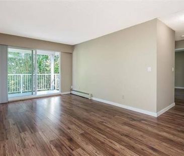 Spacious 2 Bedroom Top Floor Corner Condo with own Parking - Photo 3