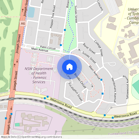 31 Brooks Circuit, NSW 2141, Lidcombe