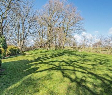 4 bedroom semi-detached house to rent - Photo 3