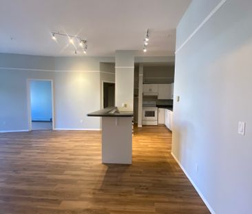 Spacious 1 Bedroom + Den in the Beltline – Available Immediately - Photo 2