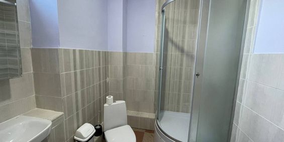 Garsoniera de inchiriat zona Aurel Vlaicu - Fotografie 3