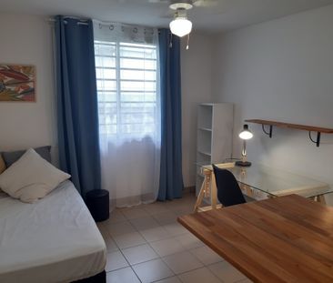 Location Appartement 1 pièce 20m² ST PIERRE 97410 - Photo 6