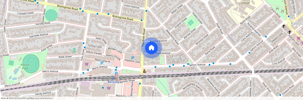 26 Flood Avenue, NSW 2212, Revesby