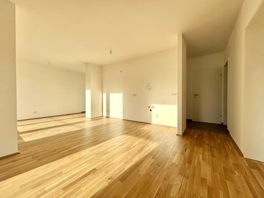 TOP 217 - Gallspach: Wohnen am Wasserschloss - Foto 1