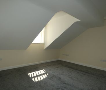 Albert Road Penthouse - Photo 6