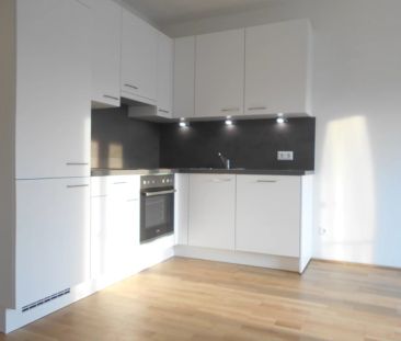 Q5 am PARK Traumblick großartige 2ZI sonniger 9m² West/Balkon - Photo 5
