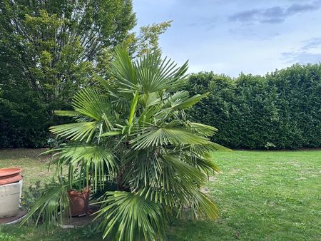 Appartement moderne de 2.5 pièces avec jardin à Mollens - Photo 4