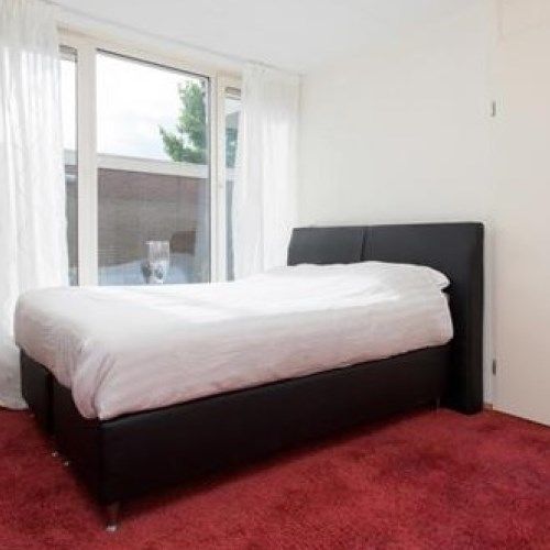 Room Den Haag - Beeklaan - Foto 1