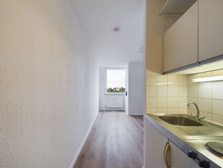 In Uni-Nähe! Neu renovierte 1-Zimmer Wohnung inkl. EBK zur Miete in Mainz - Foto 5