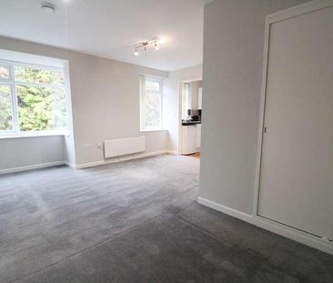 Douglas Court, Hartsbourne Road, Reading, RG6 - Photo 5