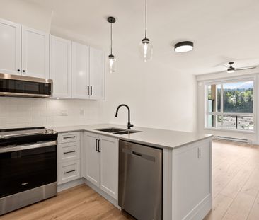 YEARLING - 306 - YE306 - Photo 3