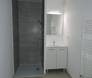 Location Appartement 1 pièce 28m² FROUZINS 31270 - Photo 2