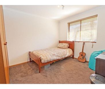 Comfortable Two Bedroom Unit - Photo 3