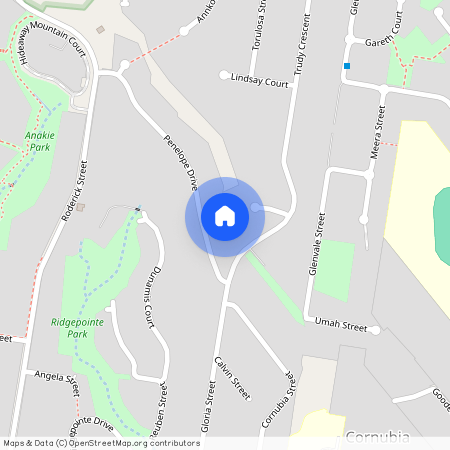 9 Penelope Drive, Qld 4130, Cornubia