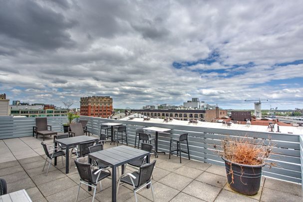 Condo à louer, Montréal (Ville-Marie) - Photo 1
