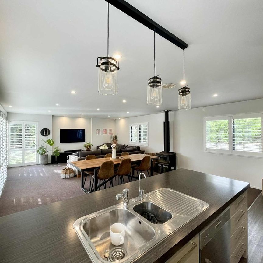 Semi-Rural and Pet Friendly! - Photo 1