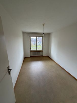 8462 Rheinau - Photo 1