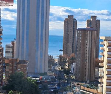 Piso de alquiler en Levante Alto - Photo 2