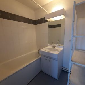 Location Appartement 1 pièce 21m² VILLEURBANNE 69100 - Photo 2