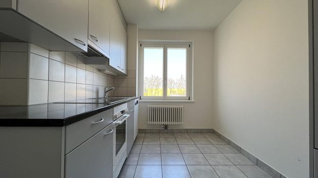Gemütliche Wohnung im Dreiländereck - Photo 1
