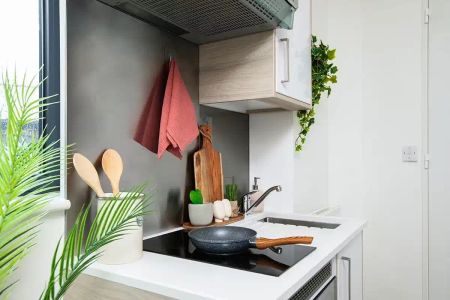 Small Standard Single Studio - Photo 4