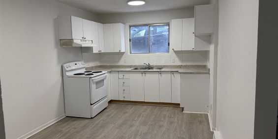 83 Rue Lucien-Brault (Hull) MONT-BLEU - Appartement 2 Chambres, Idéal Pour étudiants CEGEP - Photo 3