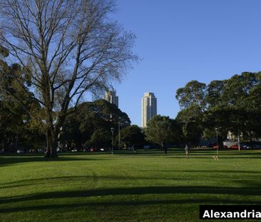 23 Mitchell Road, Alexandria NSW 2015 - House For Rent | Domain - Photo 5