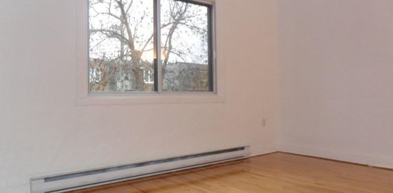 LOGEMENT A LOUER - Photo 2