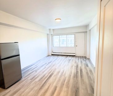 Renovated studio available NOW – 175 Sherbrooke O - Photo 4
