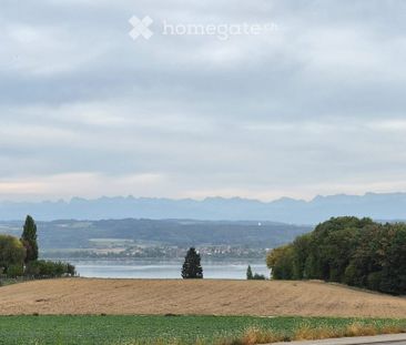 Vue sur le lac, calme et charme au cœur de Vallamand - Foto 5