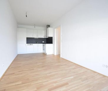 COPACABANA – 58m² -neuwertige 3 Zimmer Wohnung – großer Balkon und ... - Photo 5