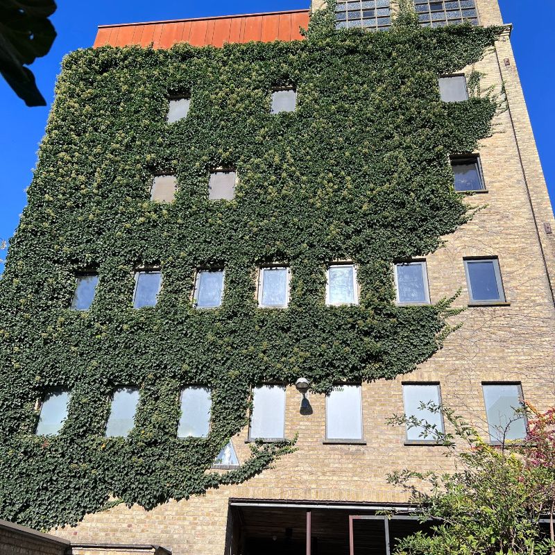 prachtige loft in hartje Diksmuide - Foto 1