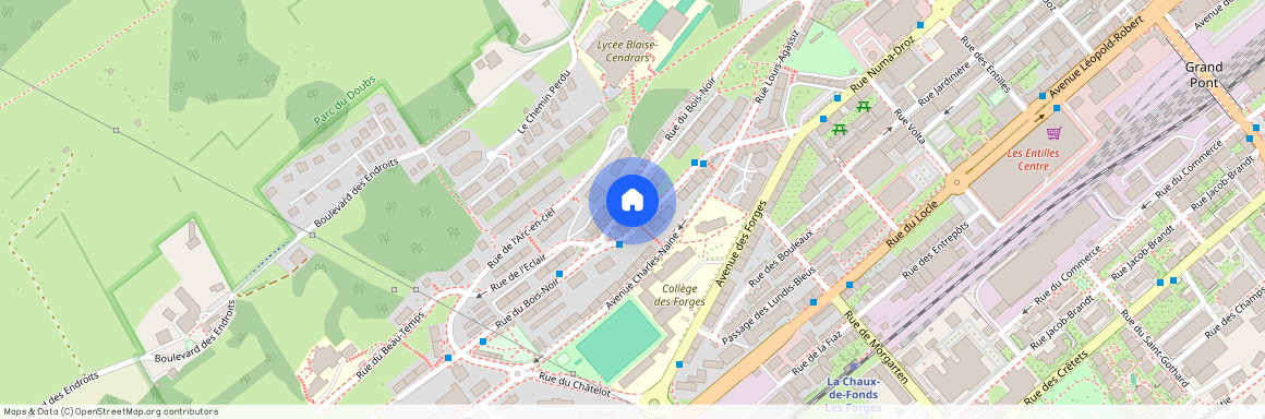 La Chaux-de-Fonds (Rue du Bois-Noir 33), Suisse