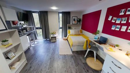 Gold Studio - Photo 3