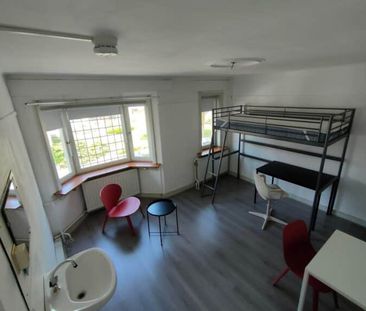 Schouwbroekseweg - Foto 4