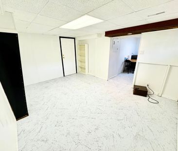 For Lease - 48 Snowball Crescent Unit# Lower, Toronto, Ontario - Photo 6