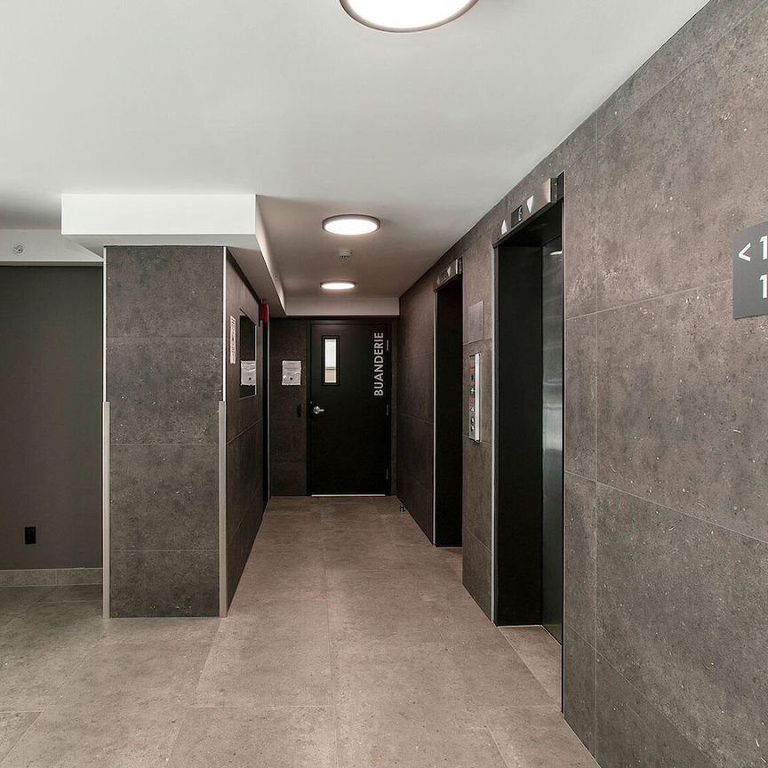 3605 Rue Saint-Urbain, Montréal, QC - Photo 1