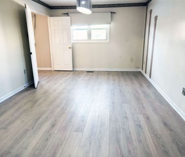 For Lease - 29 Hemlock Drive, Markham, Ontario - Photo 4