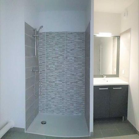 Location Appartement 2 pièces 38m² CASTANET TOLOSAN 31320 - Photo 4