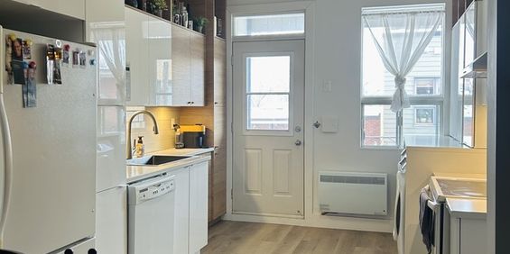 4 Et Demi Rénové Promenade Masso - Photo 3